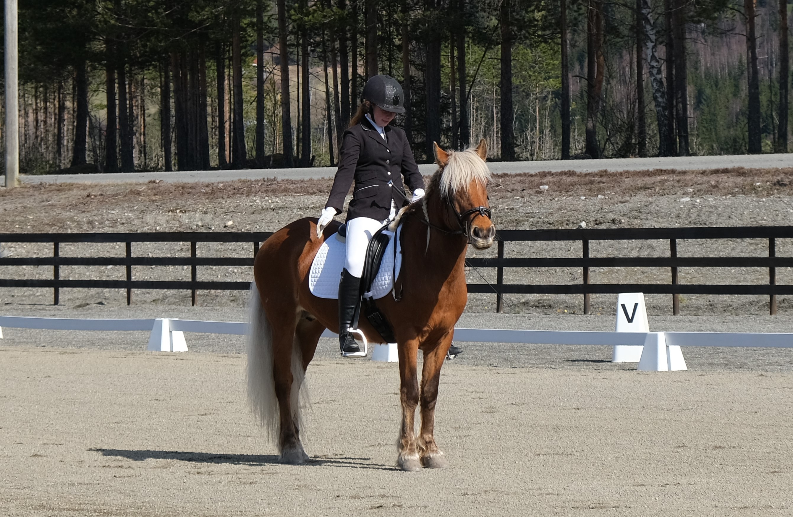 «Bli-med» prosjekt del 1 og 2